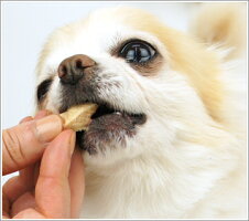 【犬】【手作り】どっとわんドットわんフリーズドライチキンミニ。商品画像3。