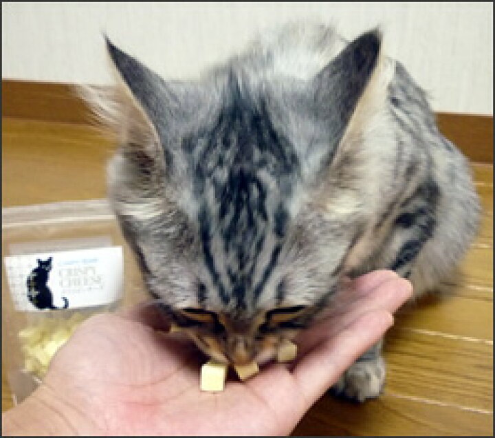 楽天市場 猫 おやつ カントリーロード Country Road キュービックチーズ 猫のおやつ 猫用おやつ キャットフード ペット ペットフード Icat I Dog 楽天 あす楽 翌日配送 犬の服のidog 楽天市場 猫 おやつ カントリーロード Country Road キュービックチーズ 猫のおやつ 猫用おやつ キャットフード ペット ペットフード Icat I Dog 楽天 あす楽 翌日配送 犬の服のidog