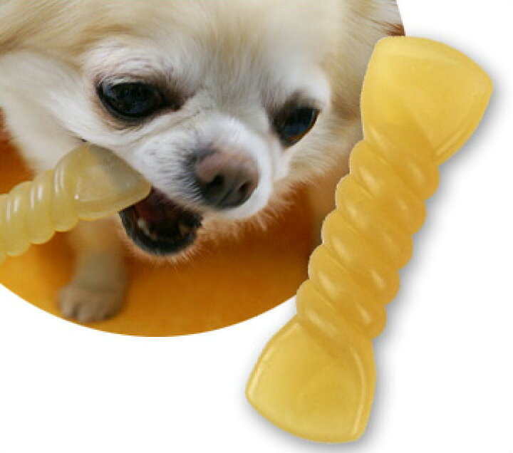 楽天市場 犬 歯磨き おもちゃ アドメイト Add Mate ナチュラルデンタルコーン Ss メール便ok デンタルケア ハミガキ はみがき ドッグトイ 犬のおもちゃ 玩具 超小型犬 小型犬 犬用 I Dog 楽天 あす楽 翌日配送 犬の服のidog