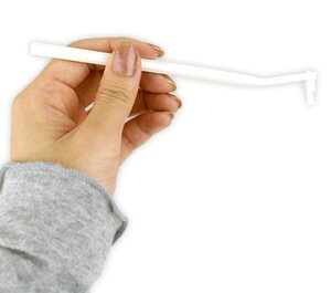 y L f^PA zLPA eB[XuV Lp~juV [OKy uV  ݂͂ n~KL C   L PApi icat i dog yV z