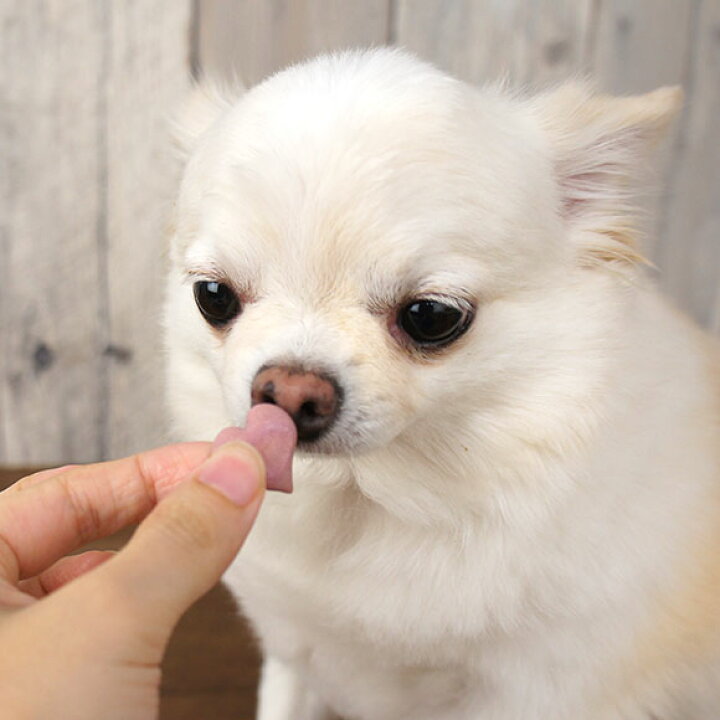 ★新春福袋2021★ <br >七福神スナック theblur.org 楽天市場】【 犬 おやつ 】キッチンドッグ Kitchen Dog all stars オールスターズ【 国産 安心 ナチュラル 犬のおやつ 犬用おやつ ドッグフード クッキー ビスケット i dog 楽天 】【 あす楽 翌日配送 】 : 犬の服のiDog
