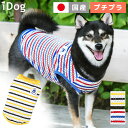 【 犬 服 タンクトップ 】iDog サメのメッシュボーダータンク アイドッグ メール便OK【 あす楽 翌日配送 】【 タンク タンクトップ 犬服 春夏 犬の服...