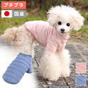 iDog レースボーダーTシャツ アイドッグ メール便OK【 あす楽 翌日配送 】【 Tシャツ 犬服 春夏 犬の服 ペット猫服 犬服 犬用 ドッグウェア 】