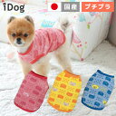 【 犬 服 タンクトップ 】iDog くまさんタンク アイドッグ メール便OK【 あす楽 翌日配送 】【 タンク タンクトップ 犬服 春夏 犬の服 ペット猫服 ...