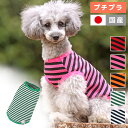 iDog ボーダータンク アイドッグ メール便OK【 あす楽 翌日配送 】【 タンク タンクトップ 犬服 春夏 犬の服 ペット猫服 犬服 犬用 ドッグウェア 】