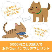 5000円ごとのご購入でおまかせおやつorフードサンプルをプレゼント。種類は選べません。
