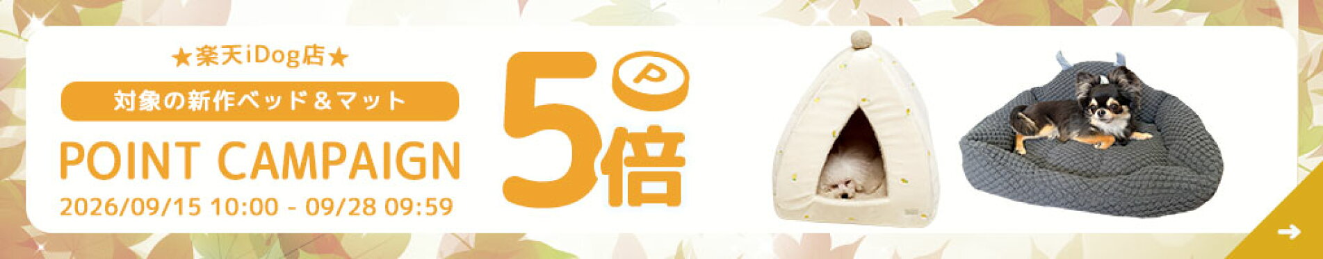 新作ベッドポイント5倍
