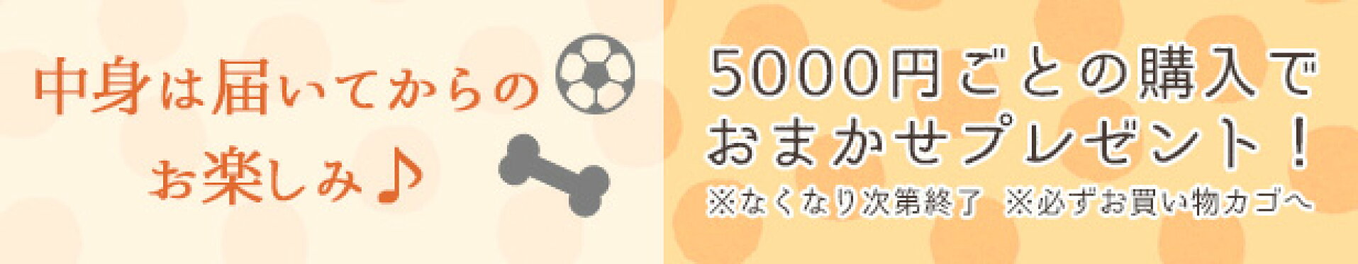 5,000円以上のお買物でおやつorおもちゃ