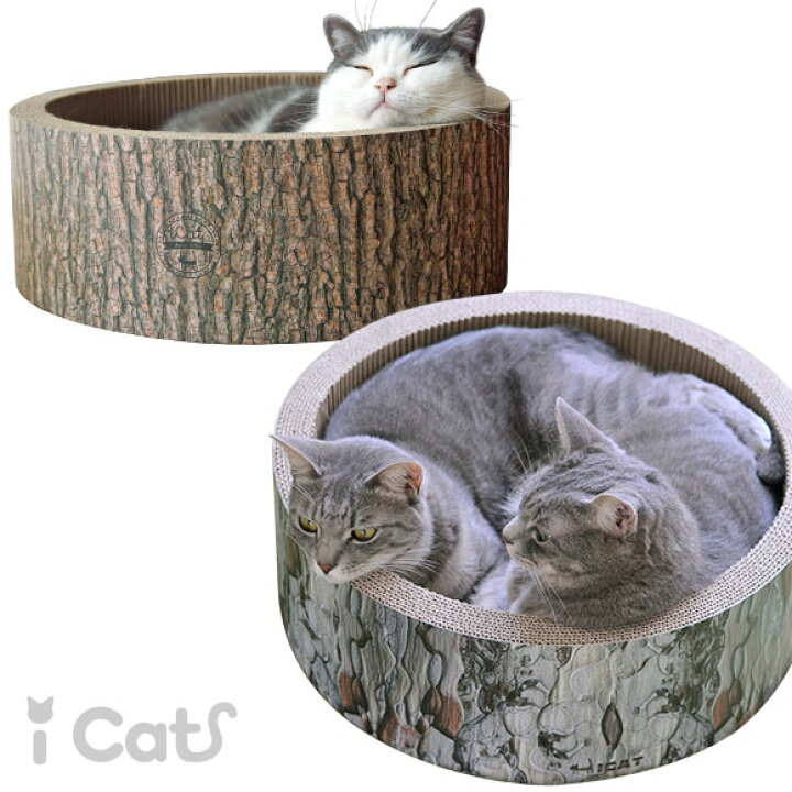 楽天市場 猫 爪とぎ Icat アイキャット オリジナル 猫のくつろぎつめとぎ 森の切り株 猫 ダンボール 爪とぎ 爪研ぎ 爪とぎ防止 爪研ぎ防止 猫用 猫用品 ねこ ネコ 猫の爪とぎ おしゃれ 子猫 あす楽 翌日配送 犬の服のidog