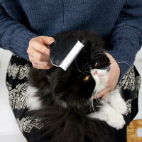 楽天市場 犬猫 ブラシ Idog Icat Groomieグルーミー 抜け毛スッキリ アンダーコートケアブラシ グルーミング アンダーコート ケアブラシ コーム ブラッシング 抜け毛 被毛ケア 除毛 無駄毛 Icat I Dog 楽天 あす楽 翌日配送 犬の服のidog