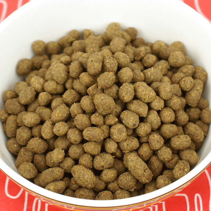 楽天市場】【 猫 キャットフード 】ジロ吉ごはんだよ 一般食タイプ500g 