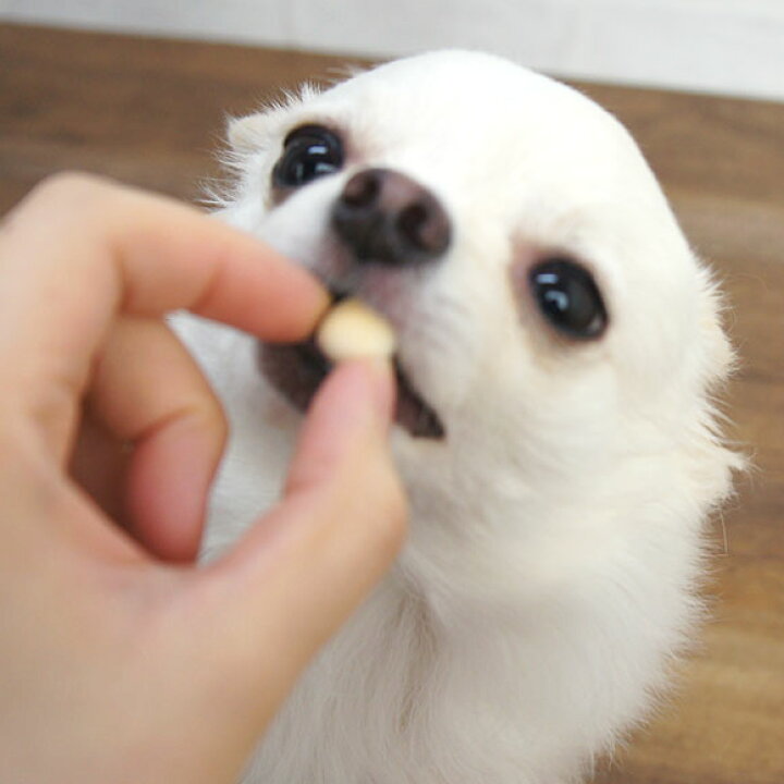 楽天市場 犬 おやつ モフモフデリ Mof Mof Deli コロコロ山羊ミルクボーロ 無添加 国産 安心 ナチュラル 犬のおやつ 犬用おやつ ドッグフード ペット ペットフード I Dog 楽天 あす楽 翌日配送 犬の服のidog