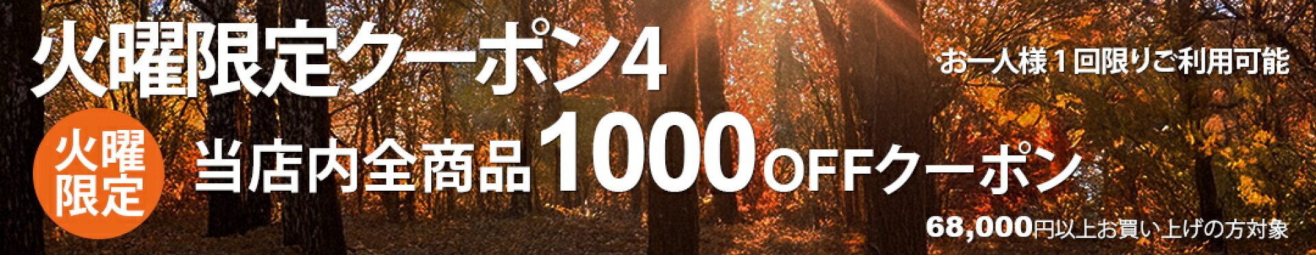火曜限定クーポン