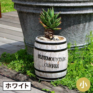 R[q[o iPi̔j CB-2330N-WHT ؐ R[q[ coffee M o v^[ Aؔ  P S~ fBXvC BOX a25cm }\
