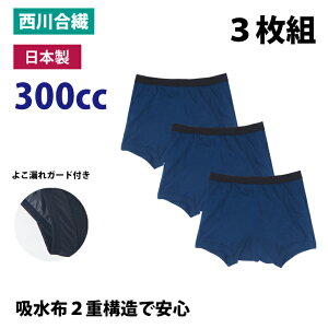 yZbg̔3zփpc jp 300CC { am  pc {NT[  Ȃ R L  sk33026 ꕔn揜 
