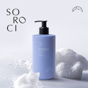 {Вcyňl풆zVv[ 440ml ؍ RX wAPA CmR̊z h{Ղ nRVs NȓPA P P CmR ؍Y  w