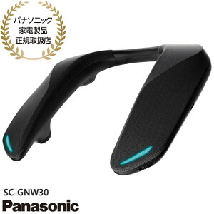 yŒZ͂zSC-GNW30 Panasonic Q[~OlbNXs[J[ nCGhCXf Bluetooth lbNXs[J[VXe SOUNDSLAYER | 2025N6 Vi ݌ɂypi\jb