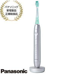 yŒZ͂zEW-DT88-S Panasonic hcv~A WgUnuV X}[g (Vo[) Bluetooth ŏʃf 2025N9 Vi ݌ɂypi\jbNƓdiK戵Xz