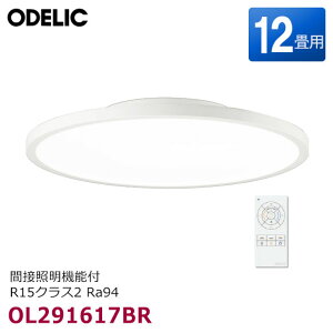�y�ŒZ�������͂��zOL291617BR �I�[�f���b�N LED�V�[�����O���C�g 12���p �I�t�z���C�g �ԐڏƖ�(�Ԑڌ��ؑ։�)�E���F(�d���F �����F)�E���� �����R���t R15�N���X2 Ra94 �ȈՎ�tA �m�� �V��Ɩ� FL