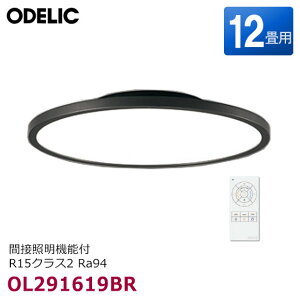�y�ŒZ�������͂��zOL291619BR �I�[�f���b�N LED�V�[�����O���C�g 12���p �ԐڏƖ�(�Ԑڌ��ؑ։�)�E���F(�d���F �����F)�E���� �����R���t R15�N���X2 Ra94 (�u���b�N) �ȈՎ�tA �m�� �V��Ɩ� FLAT P