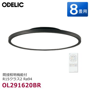 �y�ŒZ�������͂��zOL291620BR �I�[�f���b�N LED�V�[�����O���C�g 8���p �ԐڏƖ�(�Ԑڌ��ؑ։�)�E���F(�d���F �����F)�E���� �����R���t R15�N���X2 Ra94 (�u���b�N) �ȈՎ�tA �m�� �V��Ɩ� FLAT PL