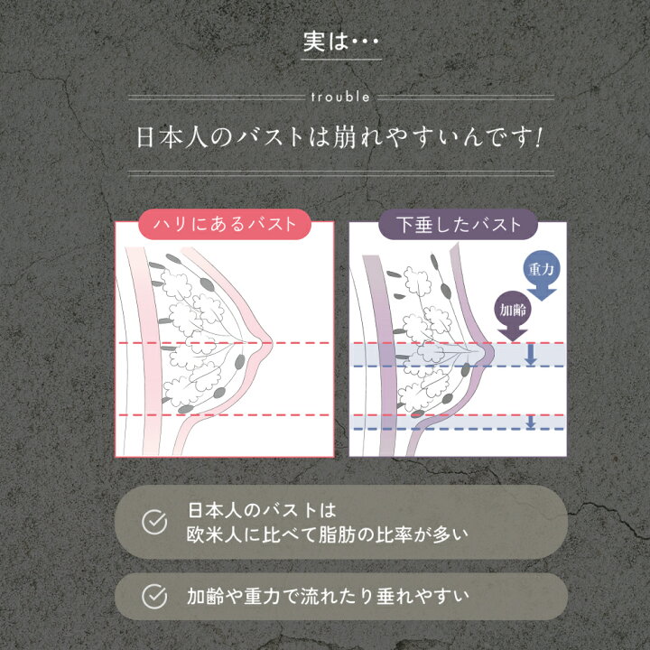 楽天市場】＼シリーズ累計200万枚突破／「CelleBra セレブラ」【5枚