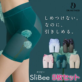 【5枚セット】DR METHOD SliBee スリビー デザインガードル ラッフルブルー スパークルブラック ドラマチックピンク ミニマルグリーン ベージュ 骨盤補整 ガードル 補整下着 ガードルショーツ 大きいサイズ ぽっこりお腹 ヒップアップ