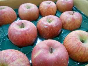 yY@󂠂Eƒp Tӂ 10kgi24`40jz