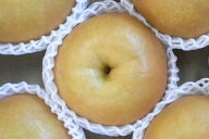【福島産　萱場の梨『新高』 秀品以上 約10kg（10〜20個）】