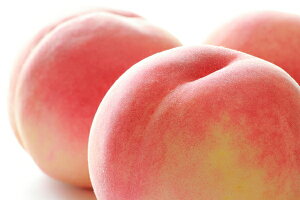 �y�{�ꕟ���̓��@�󂠂�@���ƒ�p�̂������Ȉ�i ��2.5kg(8�`12��)�z