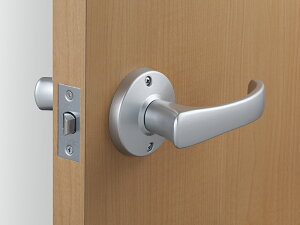 Z ֗po[nh TKo[ DT1-1M-MS  Vo[ obNZbg60mm