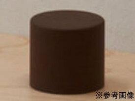SKB TOATOA フロアライン C1 チョコレート C1-W-CH-01