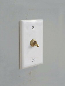 Z~bNv[ggOXCb` zCg HS2937  킢 g AeB[N XCb`v[g