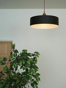 (300~N[|zz) ACAVF[h CG ubN HS3096 Ɩ Cg  킢 g AeB[N k