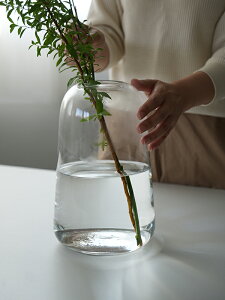 DOMU KXx[X M HS3489 ԕr  k ֑}