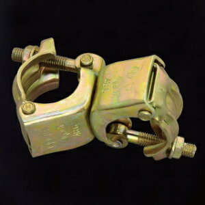 aZ Nv(30) 48.6pCvp PǃNv ݋@