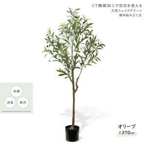 LV} g CTA[eBtBVO[ I[u KH-61391 GNA LER ^tFCXO[