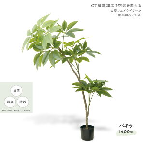 LV} g CTA[eBtBVO[ pL KH-61393 GNA LER ^tFCXO[