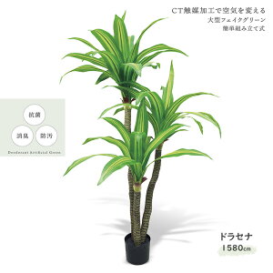 LV} g CTA[eBtBVO[ hZi KH-61395 GNA LER ^tFCXO[