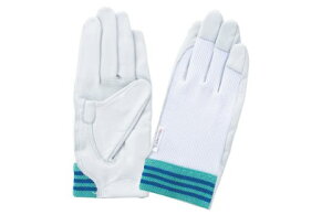 xmO[u No.12A MTCY (3202) {v Ygp 