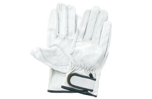 xmO[u CW[{[C LTCY (3601) {v Ygp 