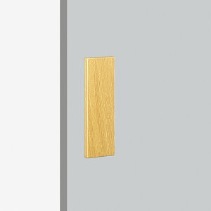 jI hAnh SP18-57-208 ABS ؖڒCgF 252×80 1