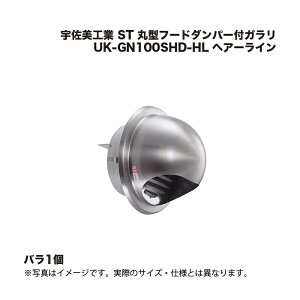 FH ST ی^t[h_p[tK UK-GN100SHD-HL wA[C 1