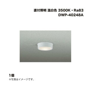 DAIKO d@ DWP-40248A pV[OCg tƖ F 3500KERa83 1