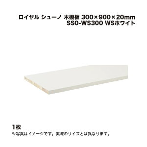 1 C V[m ؒI SS0-WS300 WSzCg 300×900×20mm