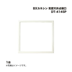 BXJlV CV_ DT-4145P 1