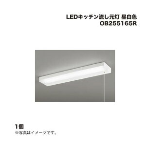 ODELIC LEDLb` OB255165R F 1