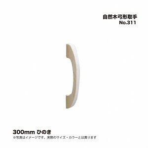 VN} No.311 R؋|` 300mm Ђ̂