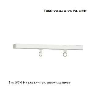 TOSO VG~j VO 1.00m Vt zCg 1Zbg