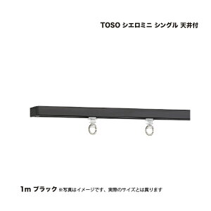 TOSO VG~j VO 1.00m Vt ubN 1Zbg